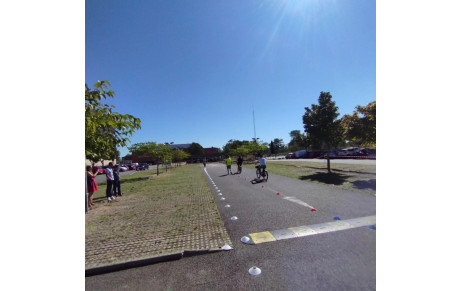 Le comité intervient sur la sécurité routière dans les entreprises 